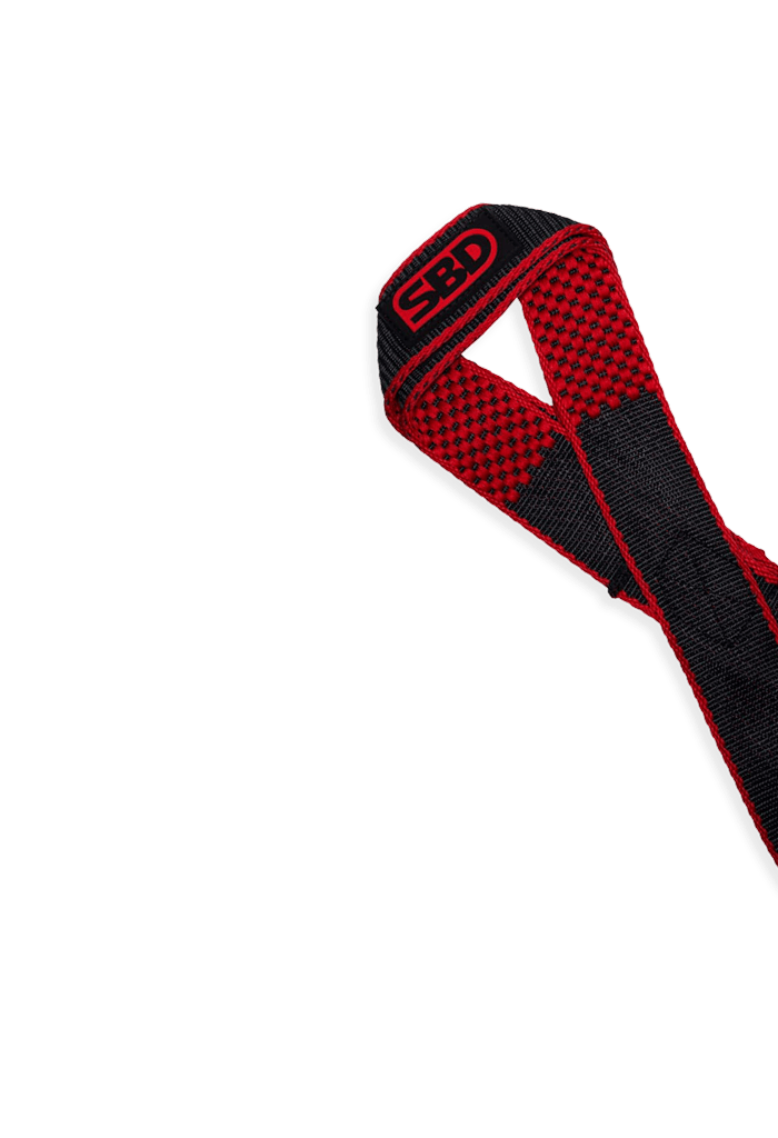 FIGURE 8 STRAPS