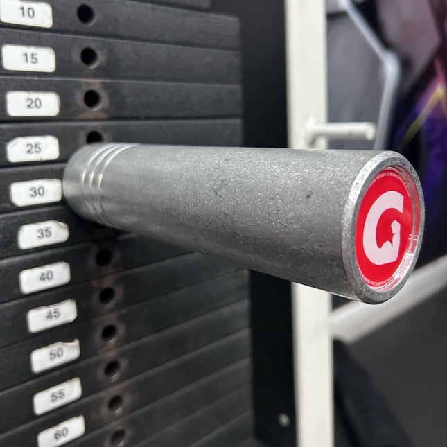 GymPin Kingpin 2inch Raw Schweiz Distributor