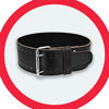 Lifting Belts
